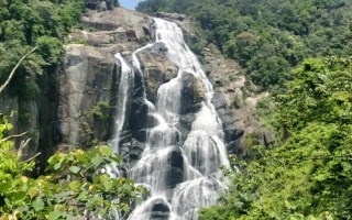 福建九鲤溪风景区天气怎么样？