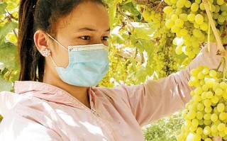 新疆和田于田县兰干乡有何特色？