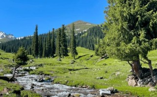 新疆伊宁有哪些必打卡的旅游景点？