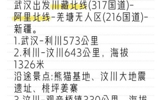 新疆到武汉车程要多久？