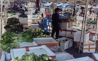 江西鹰潭蔬菜批发市场怎么样？