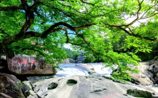 福建九鲤溪与罗汉溪，溪名有何渊源？