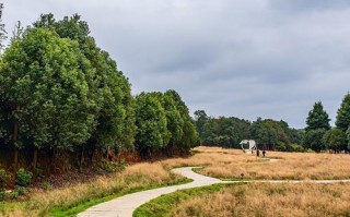 江西凤凰沟风景区怎么玩最尽兴？