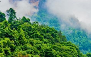 福建武夷山天气如何？