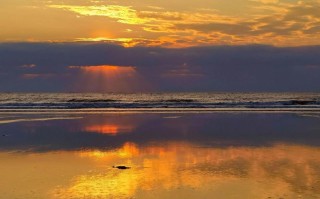 福建东山岛金鸾湾有何独特魅力？