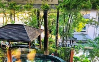 江西宜春温汤镇风景区有何独特魅力？