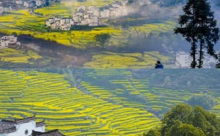 江西屋园旅游景点图片有哪些亮点？