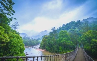 江西省妇女节免费旅游