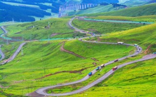 新疆国家级森林公园有何独特魅力？