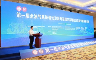 新疆油田勘探开发研究院有何突破成果？