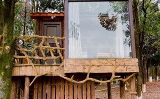 江西南昌象山森林公园有何特色？