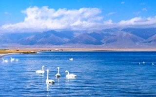 新疆天山赛里木湖游感