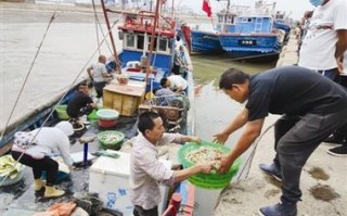 福建出海打鱼最佳月份是几月？
