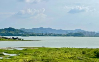 南昌青山湖区今日天气如何？