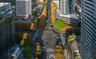 五四路具体位置在哪？