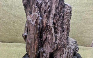 新疆硅化木图片及价格多少？