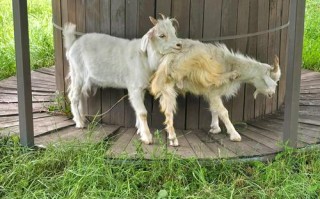 新疆农一师十四团宾馆怎么样？