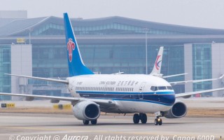 石家庄飞新疆，机票多少钱？