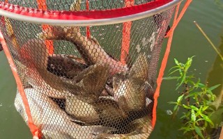 江西高安上游水库钓鱼攻略或注意事项？