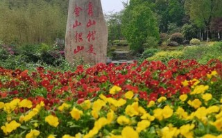 江西吉安一日游必去景点有哪些？