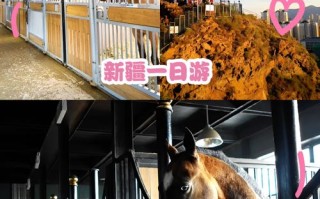 新疆野马古生态园门票多少钱？