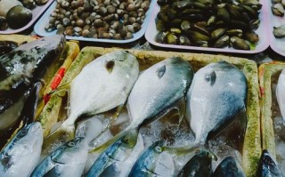 福建漳州海鲜批发市场怎么样？