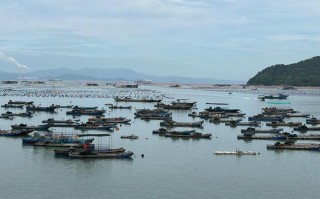 江西波阳双港有哪些必游景点？