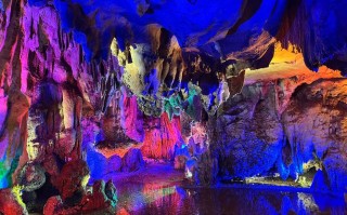 福建天鹅洞门票价格是多少？