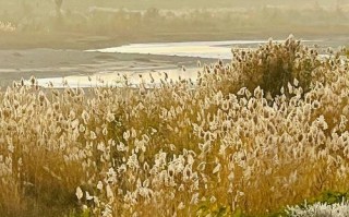 喀什克孜勒苏有何独特魅力？