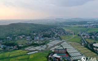 萍乡湘东区下埠镇有何特色或故事？