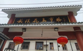 江西南昌京东花鸟市场