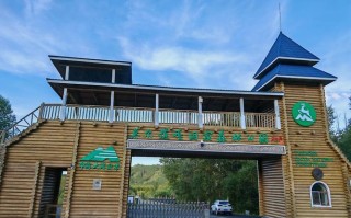 新疆华域旅行社服务质量如何？