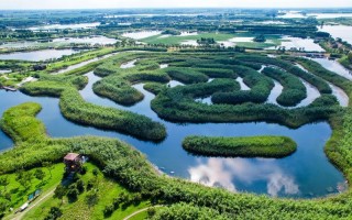 江西抚州白马湖风景区有哪些特色？