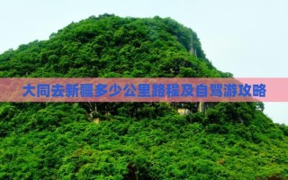 大同到新疆自驾游攻略有哪些必备要点？