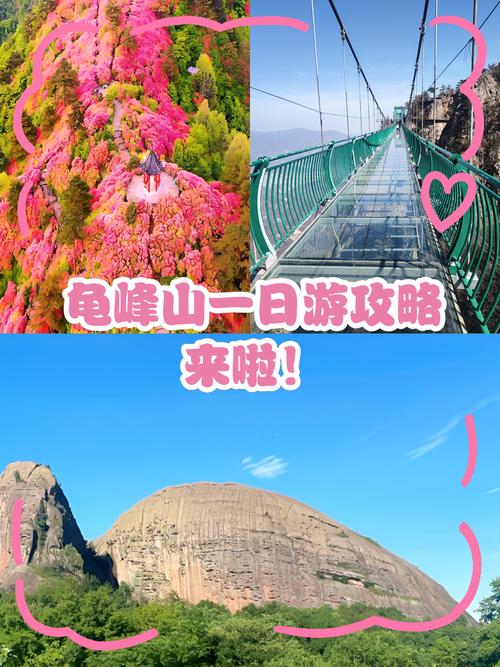 龟峰山门票多少钱？-第2张图片-花冠旅游服务