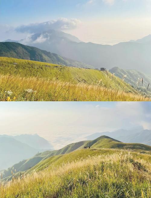 武功山金顶海拔具体多少米？-第2张图片-花冠旅游服务