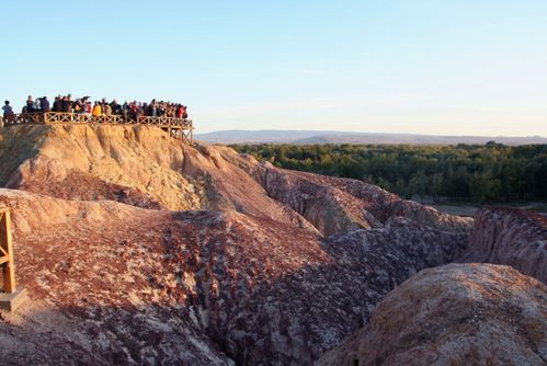卡拉麦里保护区藏着怎样的生态密码？-第3张图片-花冠旅游服务