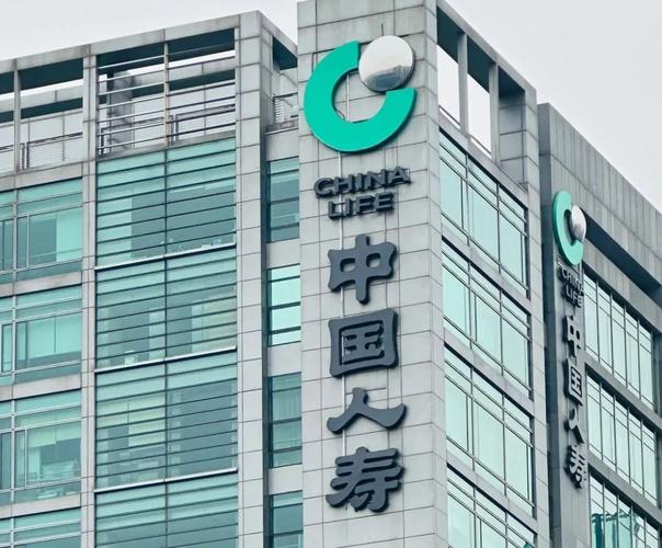 中国人寿新疆分公司有何优势？-第2张图片-花冠旅游服务