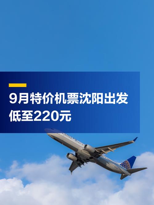 新疆到沈阳机票价格多少？-第2张图片-花冠旅游服务