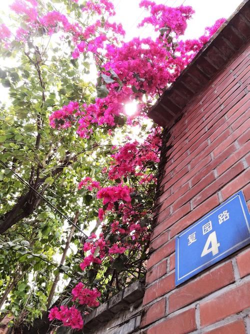 福建福州仓山区邮编是多少?-第3张图片-花冠旅游服务 福建福州仓山区邮编是多少?-第3张图片-花冠旅游服务