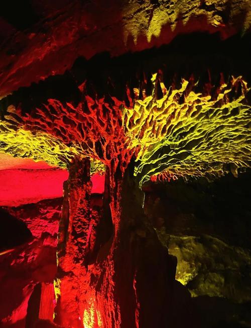 福建龙岩有哪些必游旅游景点?-第2张图片-花冠旅游服务 福建龙岩有哪些必游旅游景点?-第2张图片-花冠旅游服务