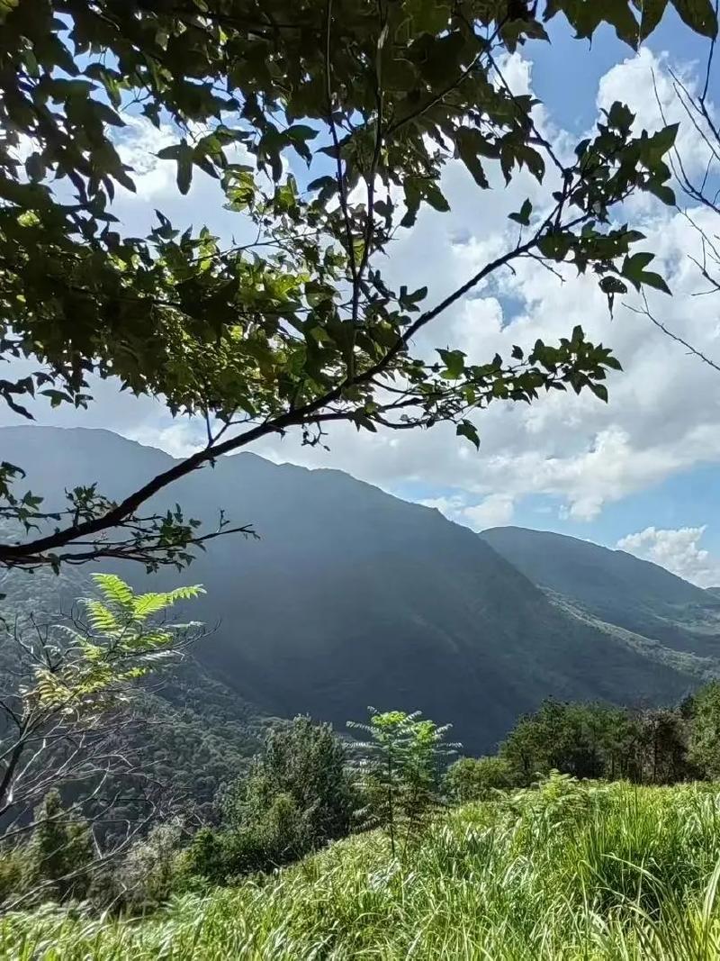 福建大田到建瓯的距离是多少?-第2张图片-花冠旅游服务 福建大田到建瓯的距离是多少?-第2张图片-花冠旅游服务