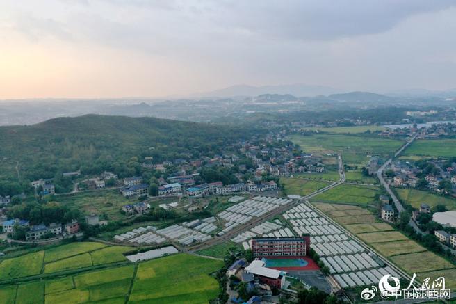 萍乡湘东区下埠镇有何特色或故事?-第1张图片-花冠旅游服务 萍乡湘东区下埠镇有何特色或故事?-第1张图片-花冠旅游服务