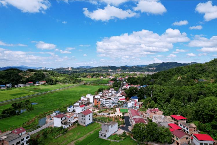 萍乡上栗桐木镇有何特色或故事？-第3张图片-花冠旅游服务