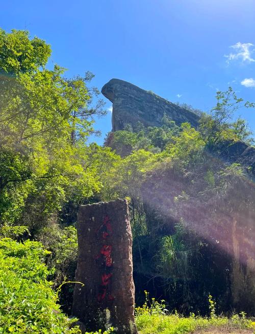 福建武夷山有哪些必玩景点?-第2张图片-花冠旅游服务 福建武夷山有哪些必玩景点?-第2张图片-花冠旅游服务