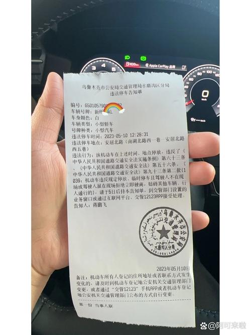 新疆阿克苏车辆违章查询-第3张图片-花冠旅游服务 新疆阿克苏车辆违章查询-第3张图片-花冠旅游服务