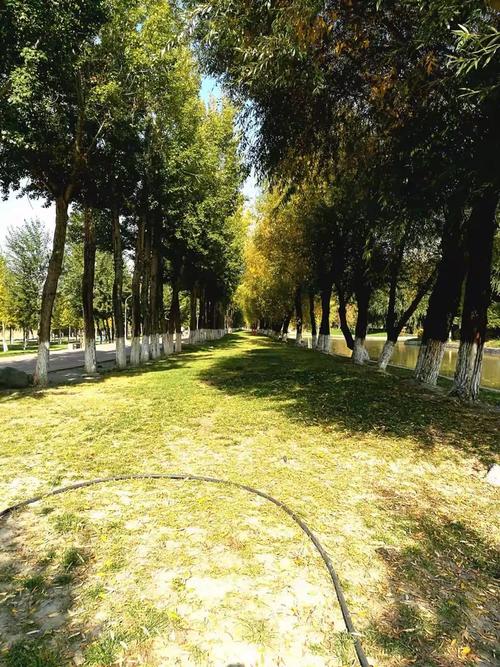 新疆五家渠102团邮编是多少?-第2张图片-花冠旅游服务 新疆五家渠102团邮编是多少?-第2张图片-花冠旅游服务