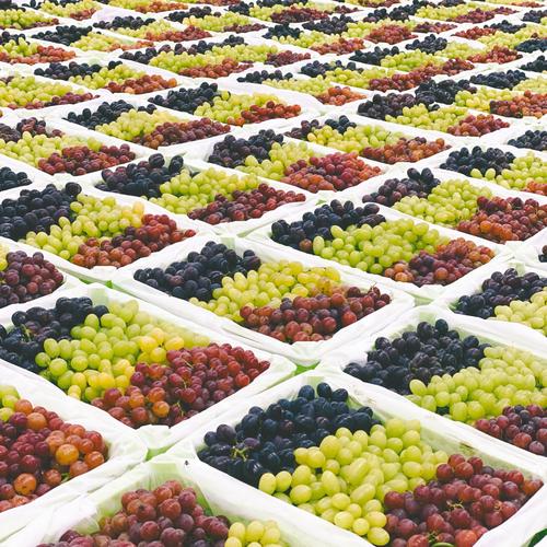 新疆特产景点有哪些？-第3张图片-花冠旅游服务