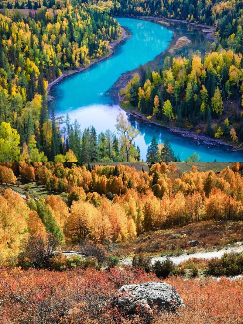 新疆喀纳斯景区图片大全-第3张图片-花冠旅游服务 新疆喀纳斯景区图片大全-第3张图片-花冠旅游服务