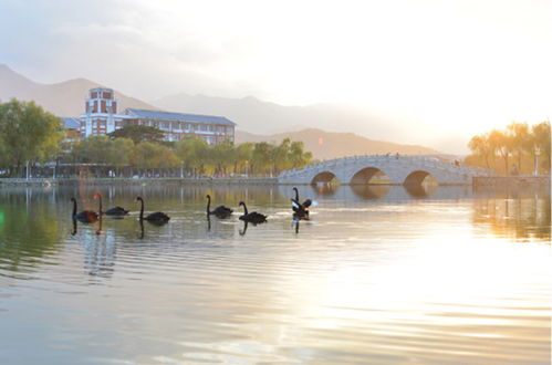 福建中医药大学旗山校区有何特色?-第1张图片-花冠旅游服务 福建中医药大学旗山校区有何特色?-第1张图片-花冠旅游服务